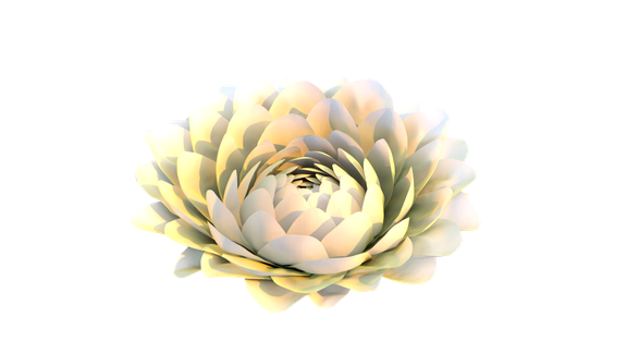Fully opened layered procedural flower
