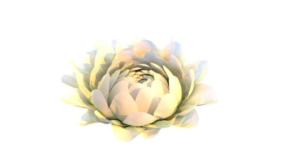 Open procedural flower render
